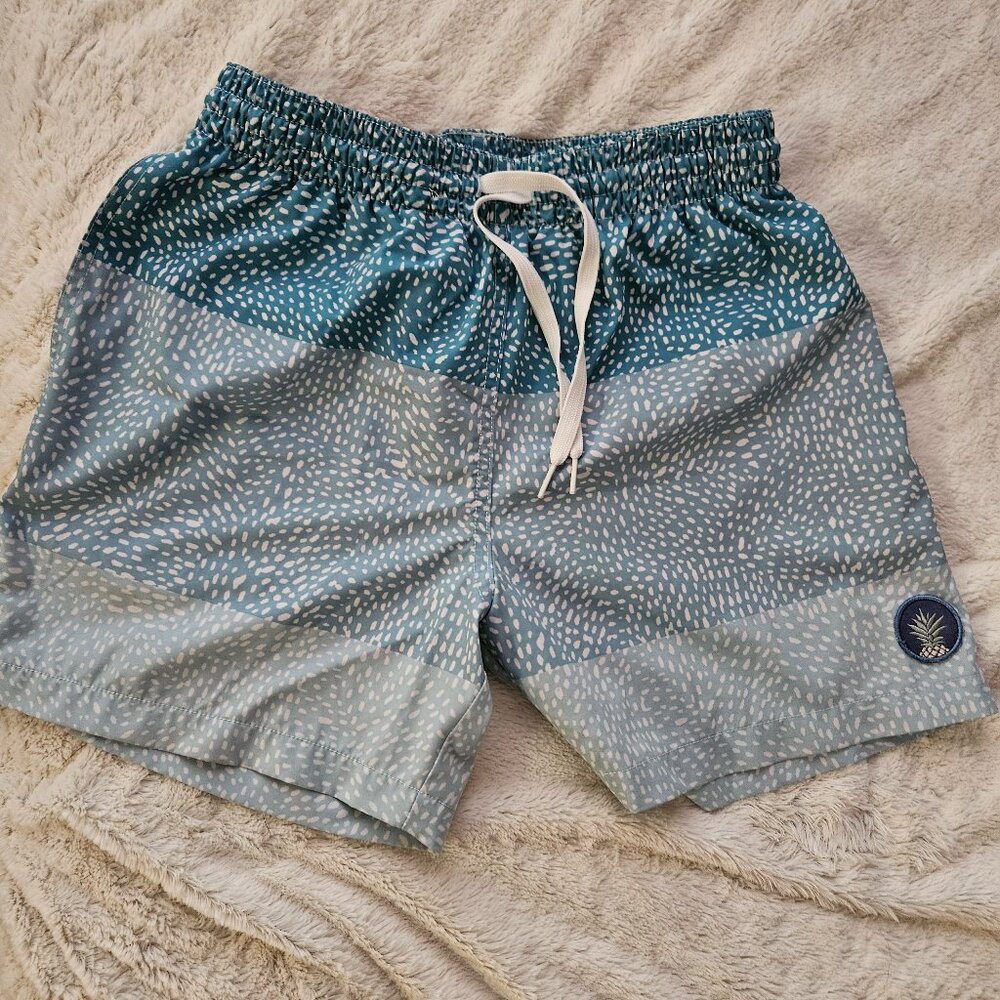 Chubbies The Whale Sharks 5.5” Classic Swim Trunks Small